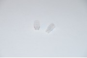 5mm Bellows Cups Without Fitting (2.5)